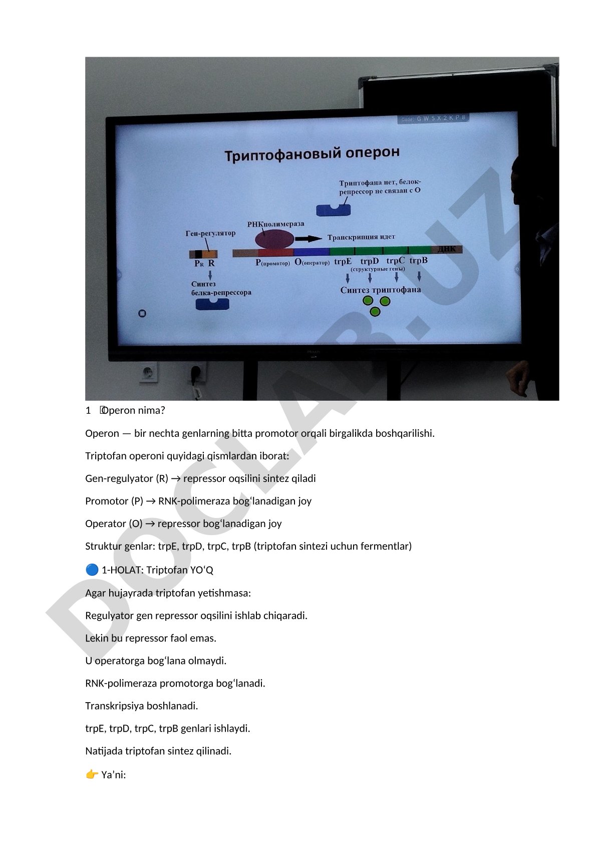Triptofan operonining manfiy qayta aloqa mexanizmi
