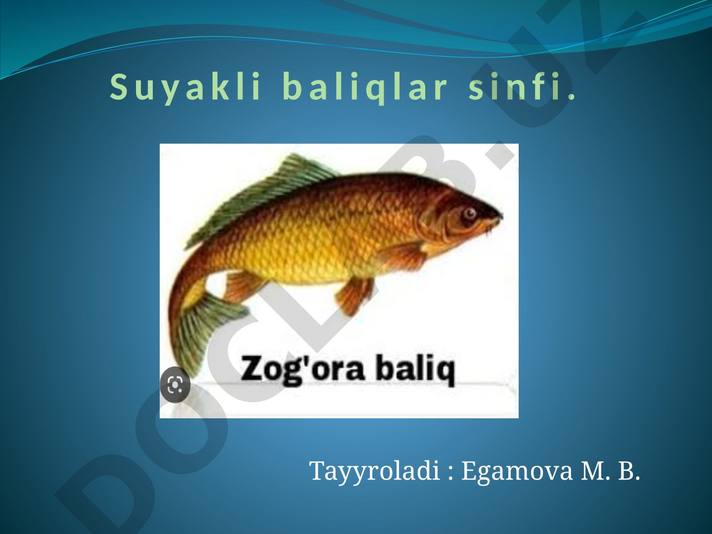 Suyakli baliqlar sinfi