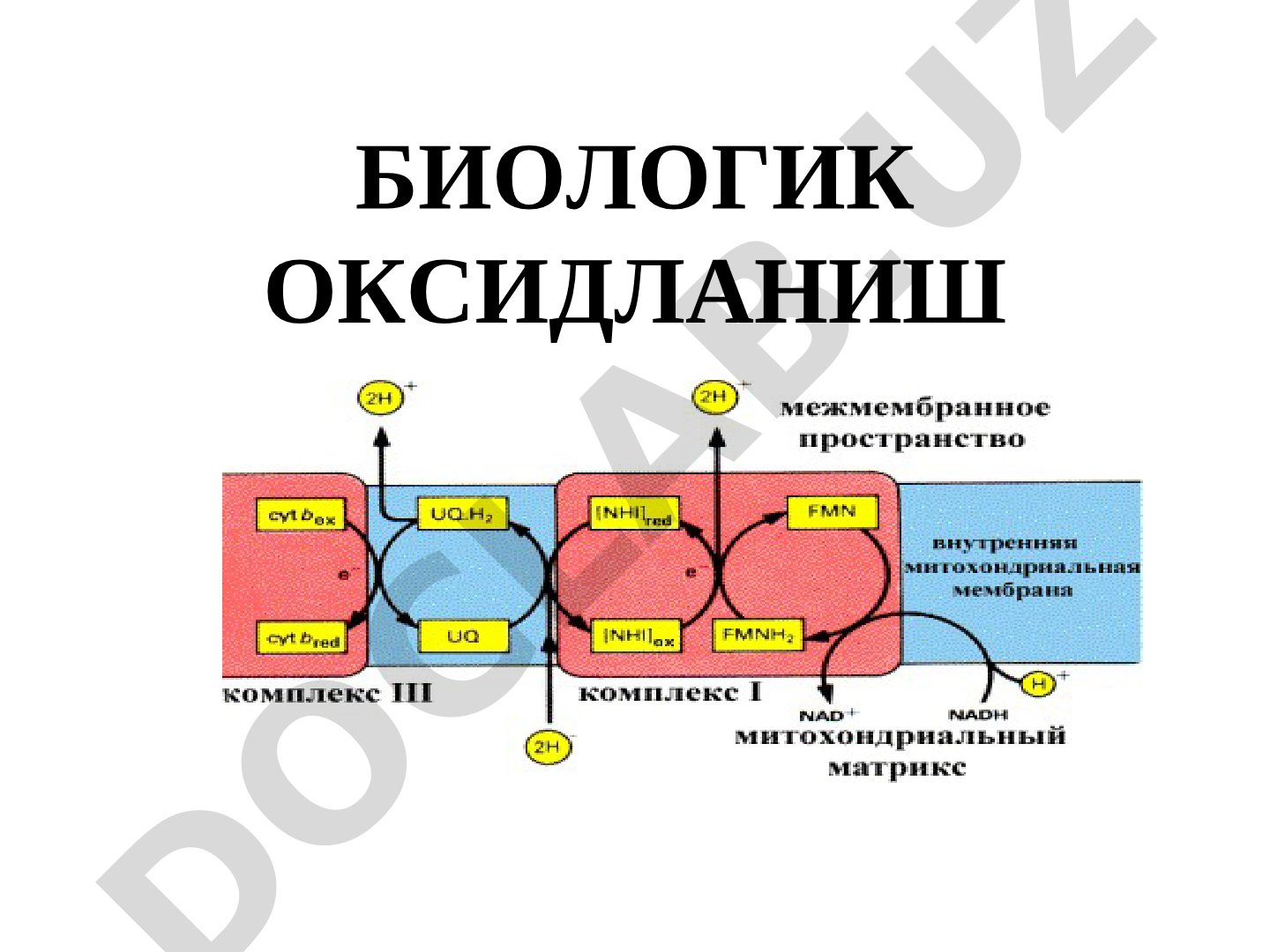 Биологик оксидланиш
