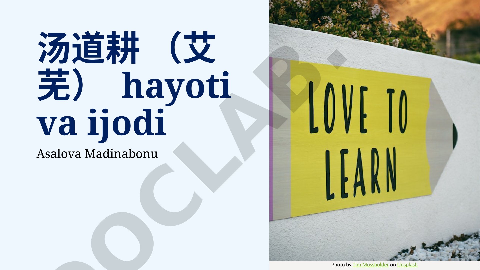 Tao Doqeng (Ai Wu) hayoti va ijodi