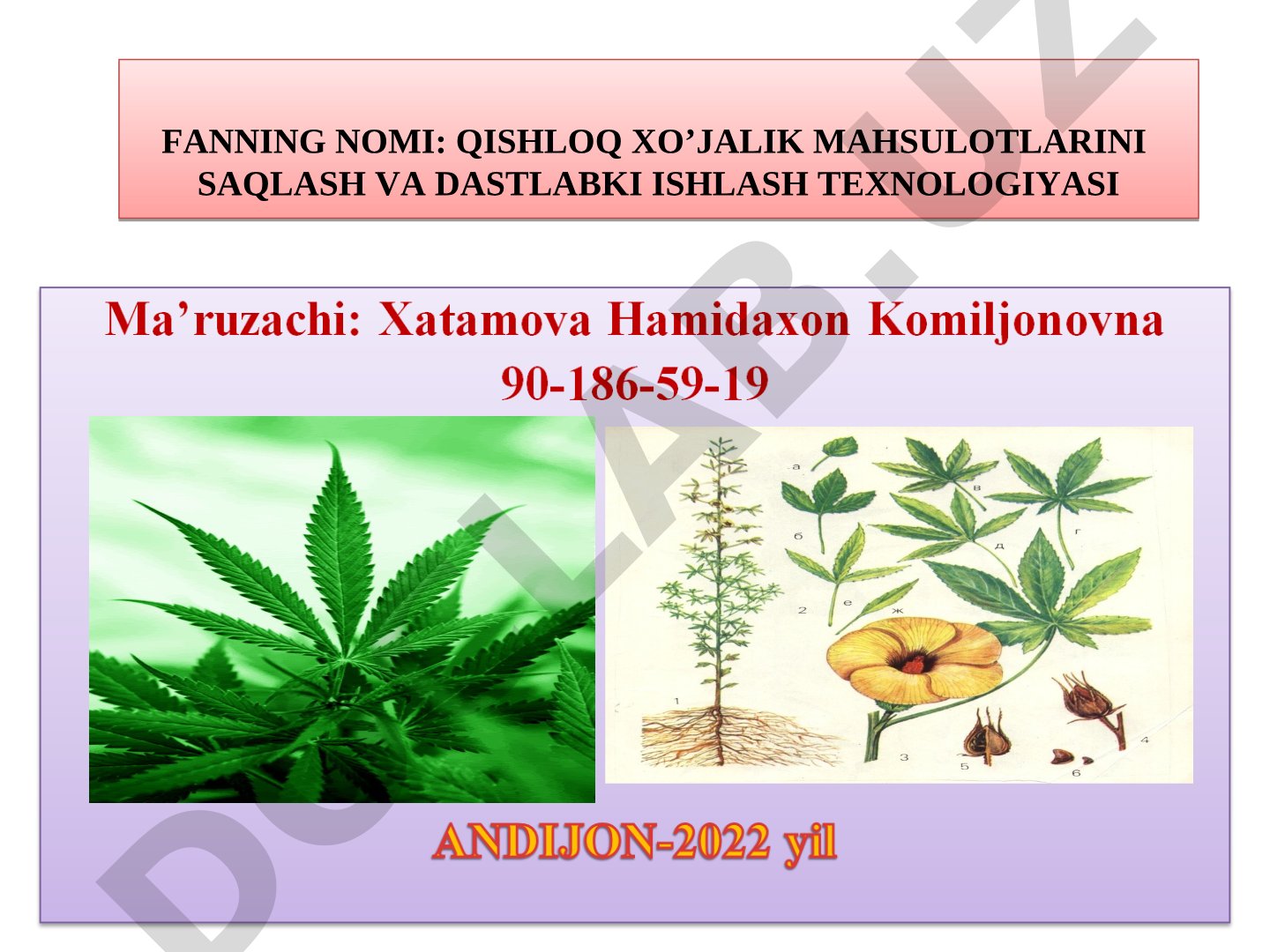 Kanopni saqlash va qayta ishlash texnologiyasi
