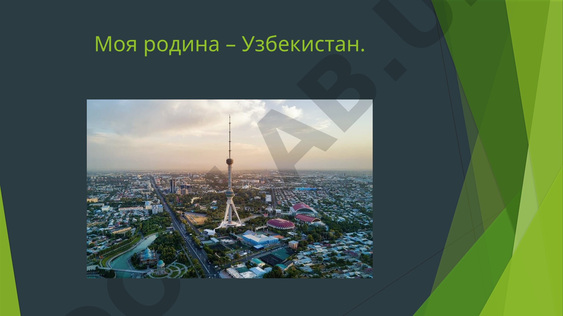 Фергана: Орда Худояр-хана и Риштон
