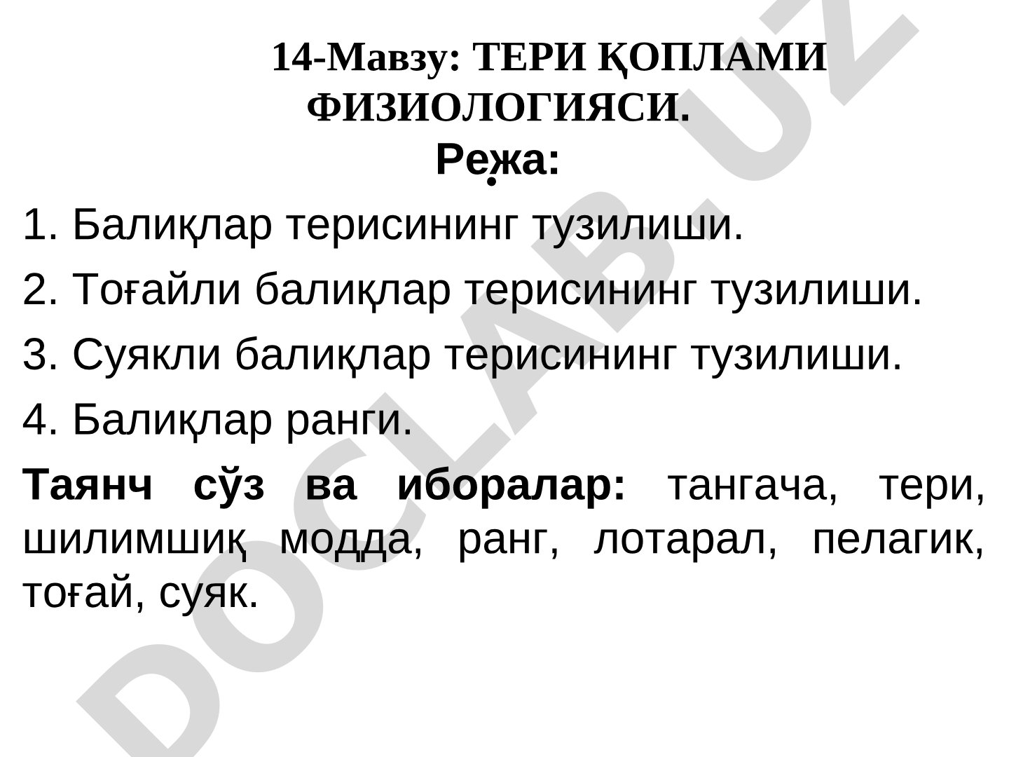 ТЕРИ ҚОПЛАМИ ФИЗИОЛОГИЯСИ