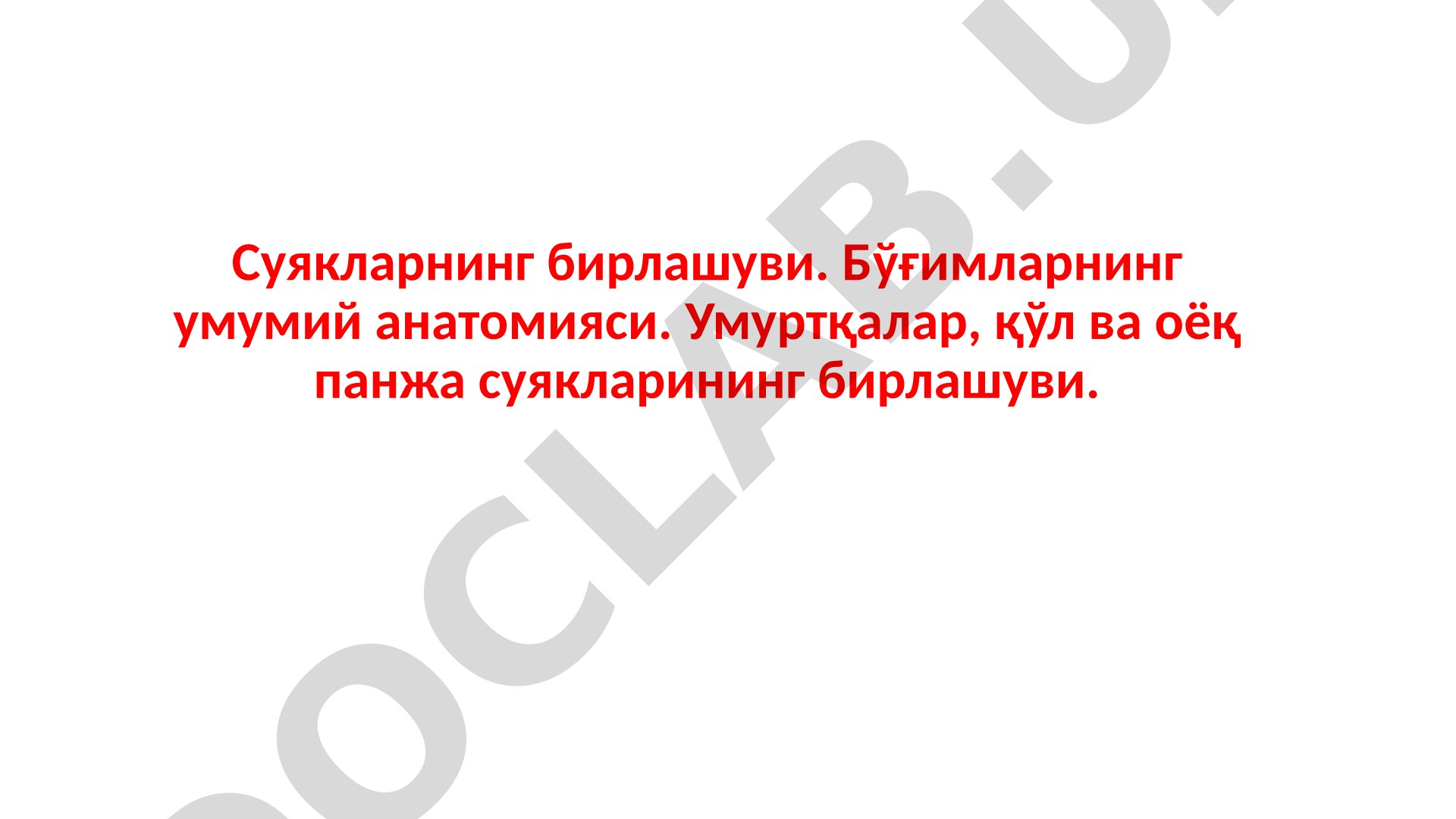Суякларнинг бирлашуви ва бўғимларнинг умумий анатомияси