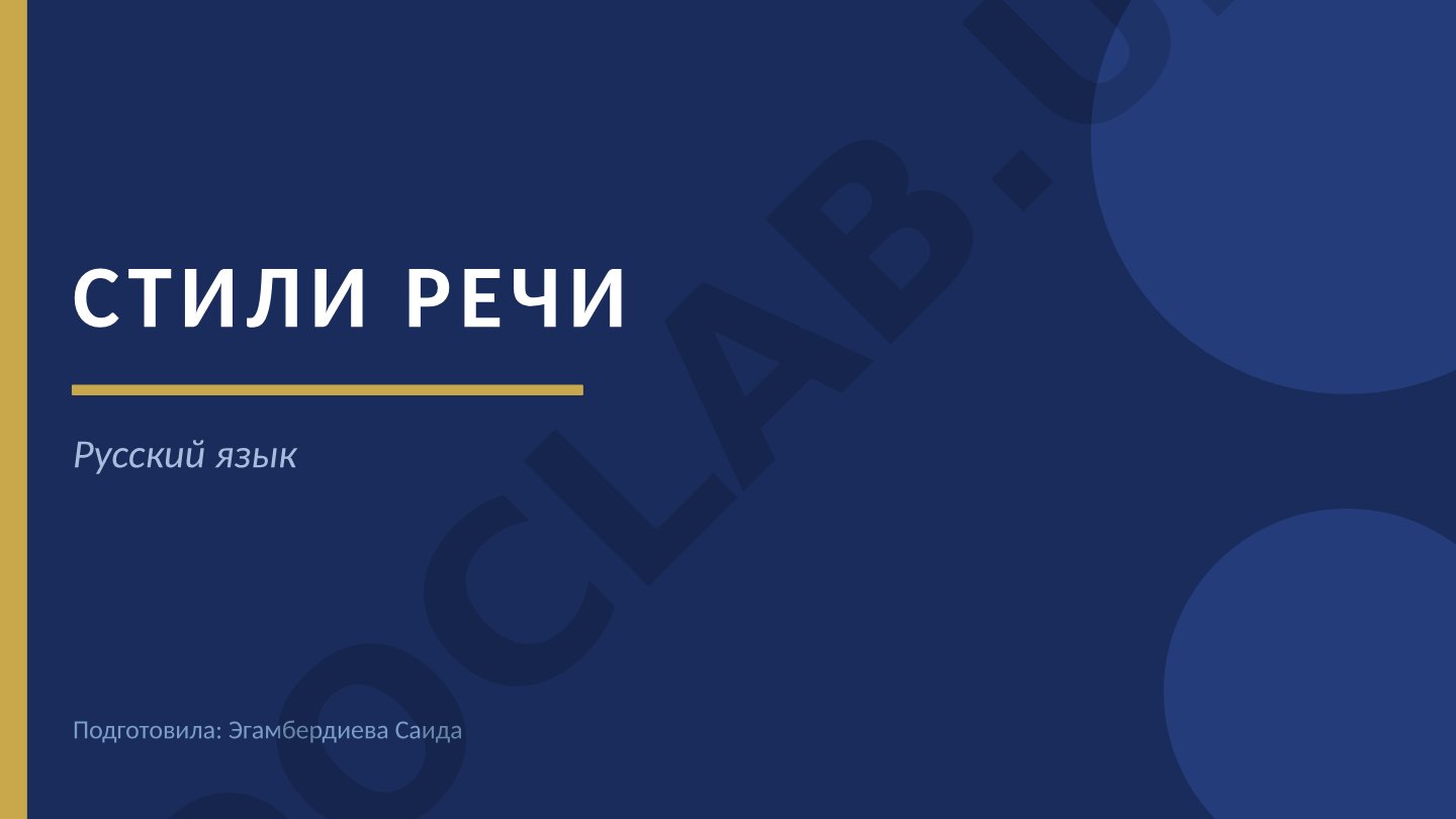 Стили речи русского языка