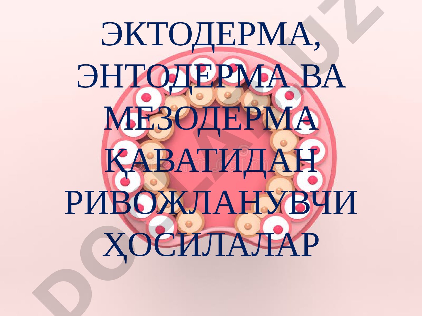 Эктодерма, энтодерма ва мезодерма қаватидан ривожланувчи ҳосилалар