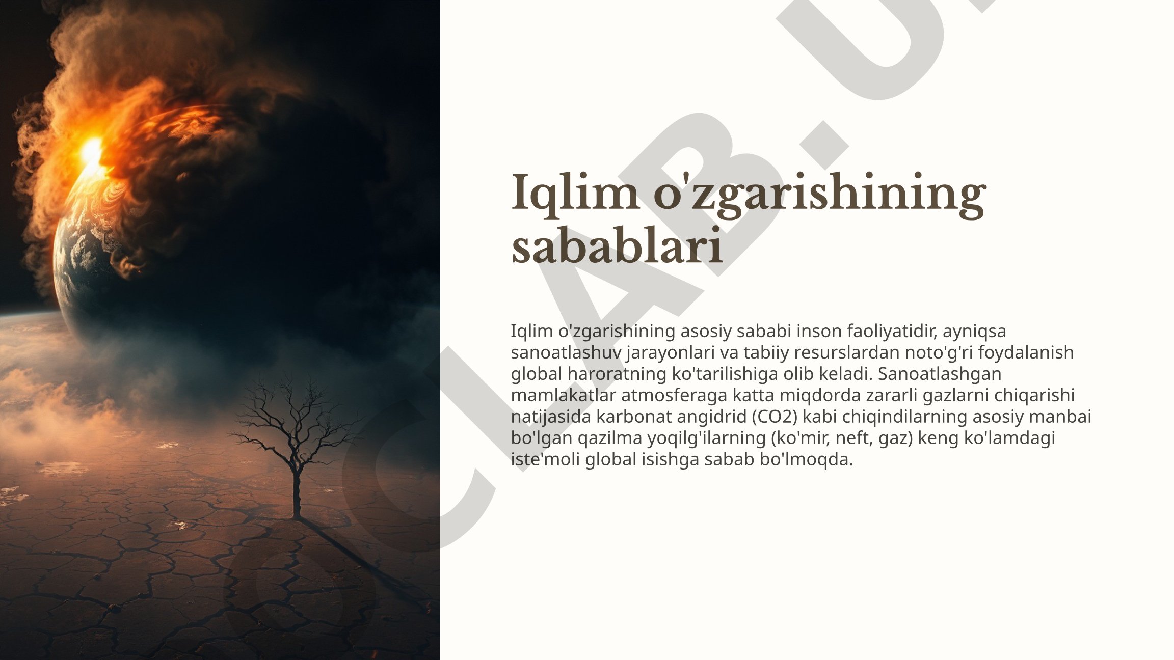 Inson faoliyati sababli global isish va rivojlanayotgan davlatlarga ta'siri