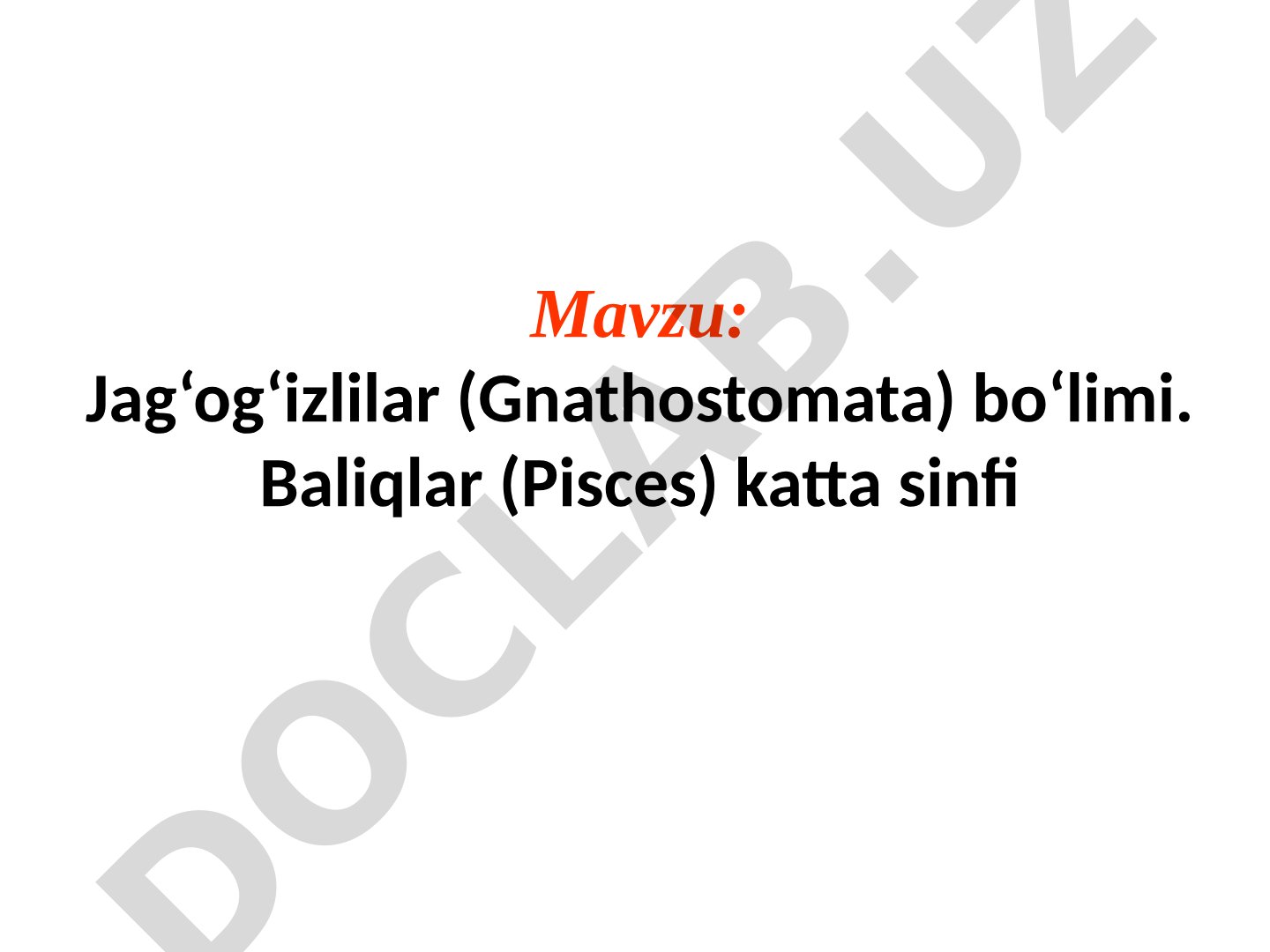 Jag‘og‘izlilar (Gnathostomata) bo‘limi. Baliqlar (Pisces) katta sinfi