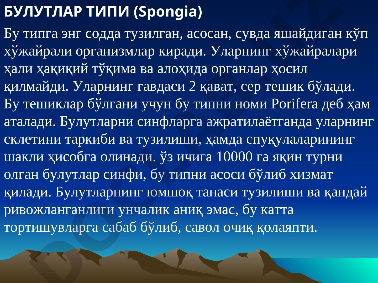 Булутлар типи (Spongia) ва булутлар синфи (Sponigio)