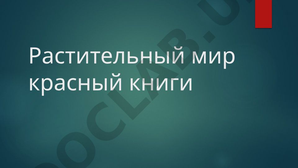 Красная книга: история создания и растительный мир