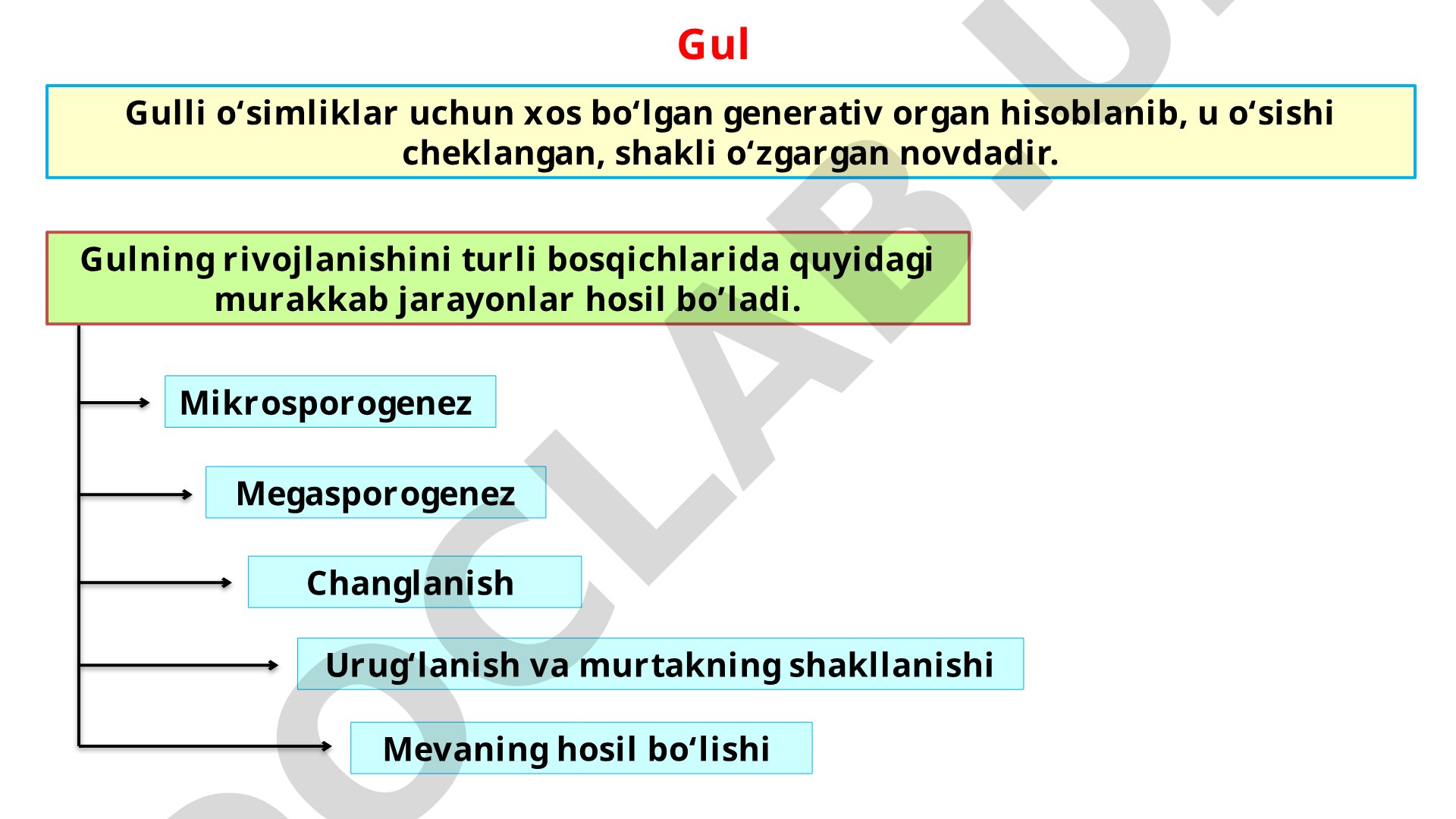 Gulli o'simliklarda generativ organ – gulning tuzilishi va rivojlanishi