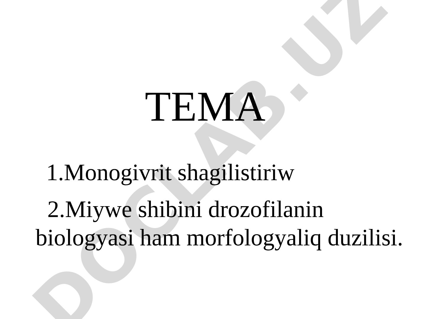 Monogivrit shagilistiriw, Miywe shibini drozofilanin biologyasi ham morfologyaliq duzilisi