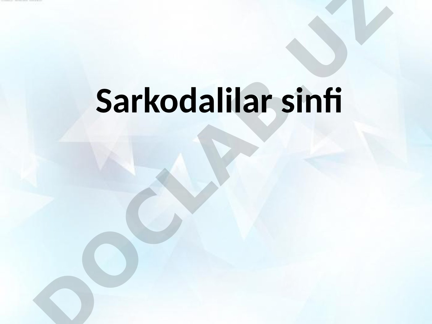 Класс Саркодовые: амеба протей