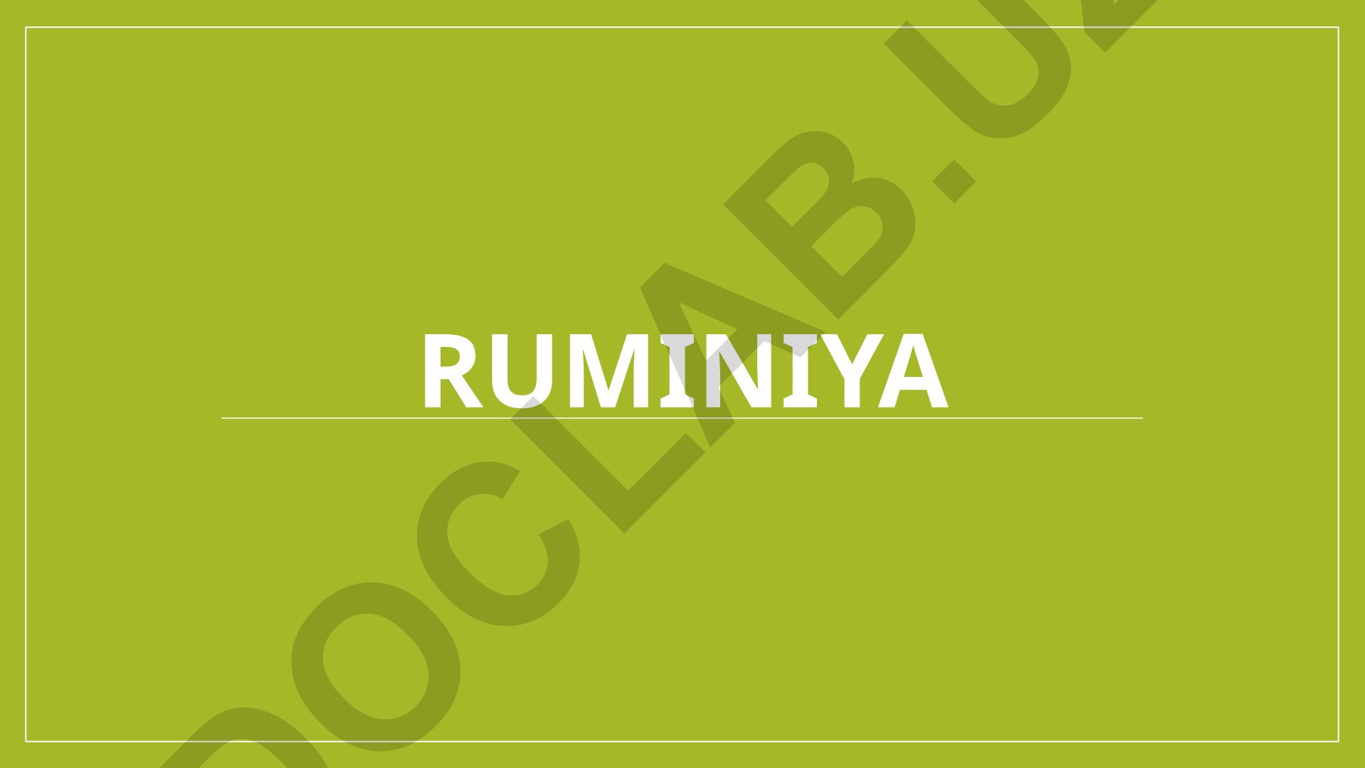 Ruminiya haqida umumiy ma'lumot va iqtisodiyoti