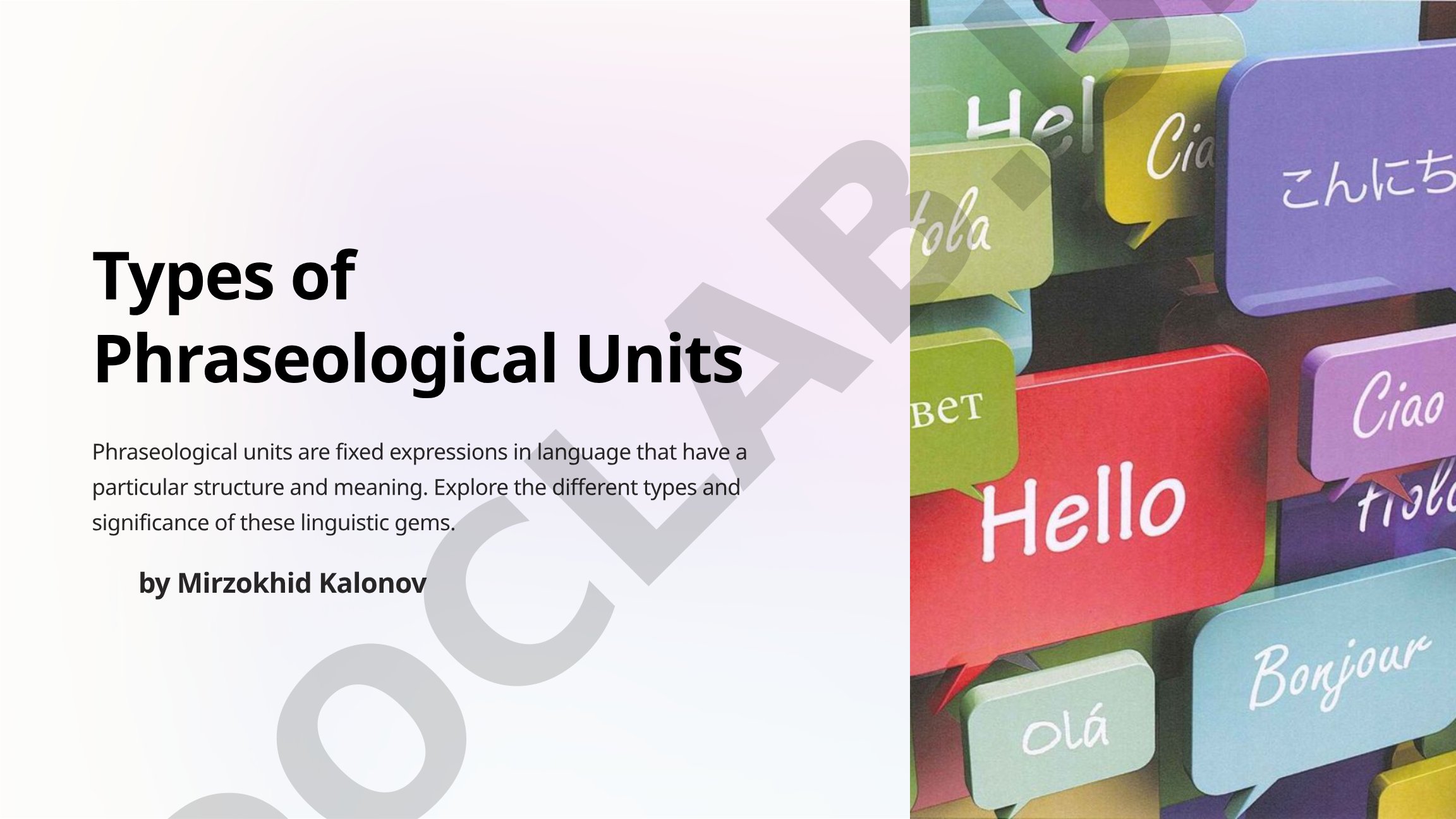 Types of Phraseological Units