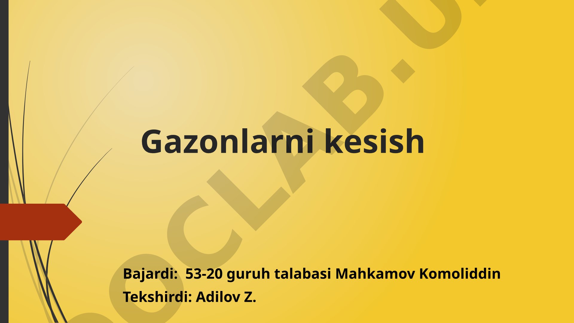 Gazonlarni kesish qoidalari va oziqlantirish usullari