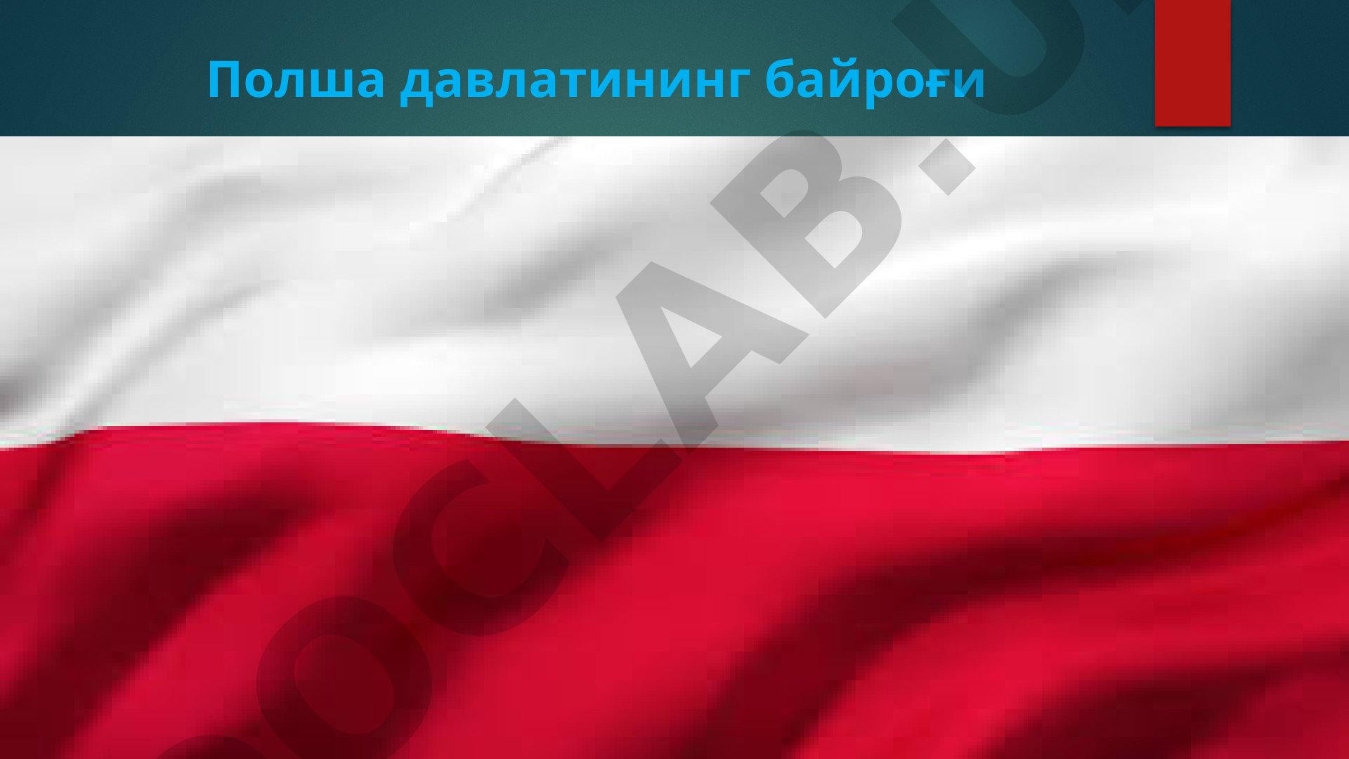 Polsha davlatining geografik va iqtisodiy xususiyatlari