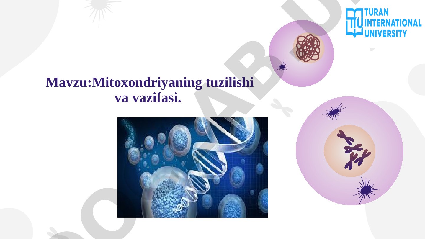 Mitoxondriyaning tuzilishi va vazifasi