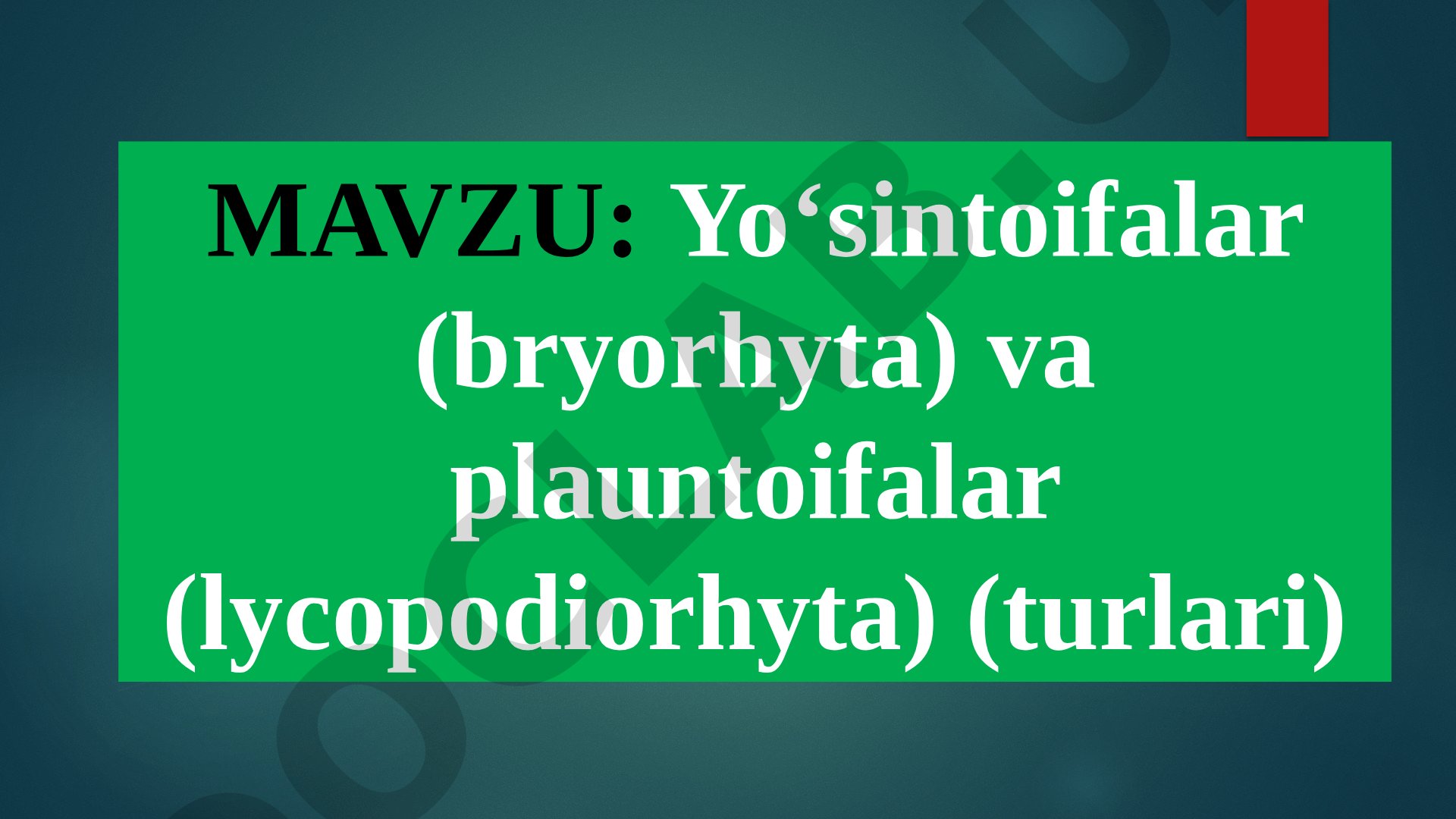 Yo‘sintoifalar (Bryophyta) va plauntoifalar (Lycopodiorhyta) turlari