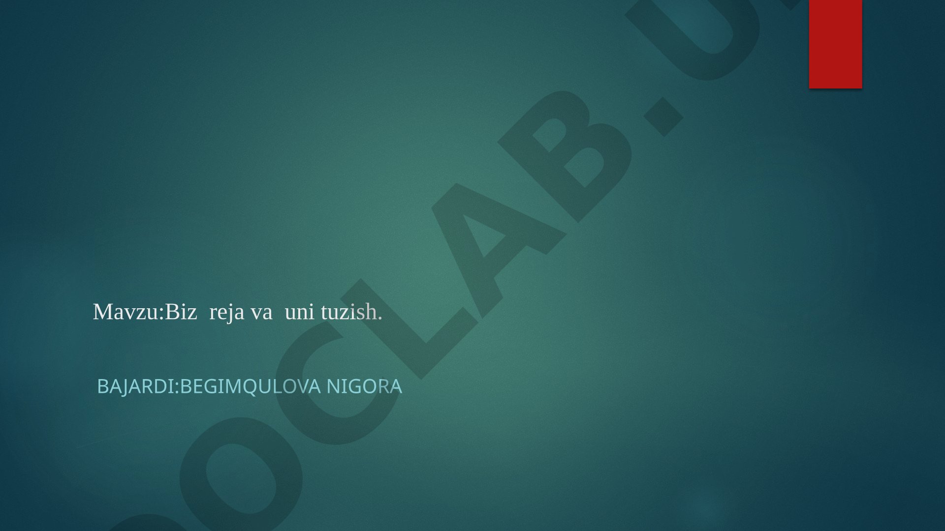 Biznes reja va uni tuzish