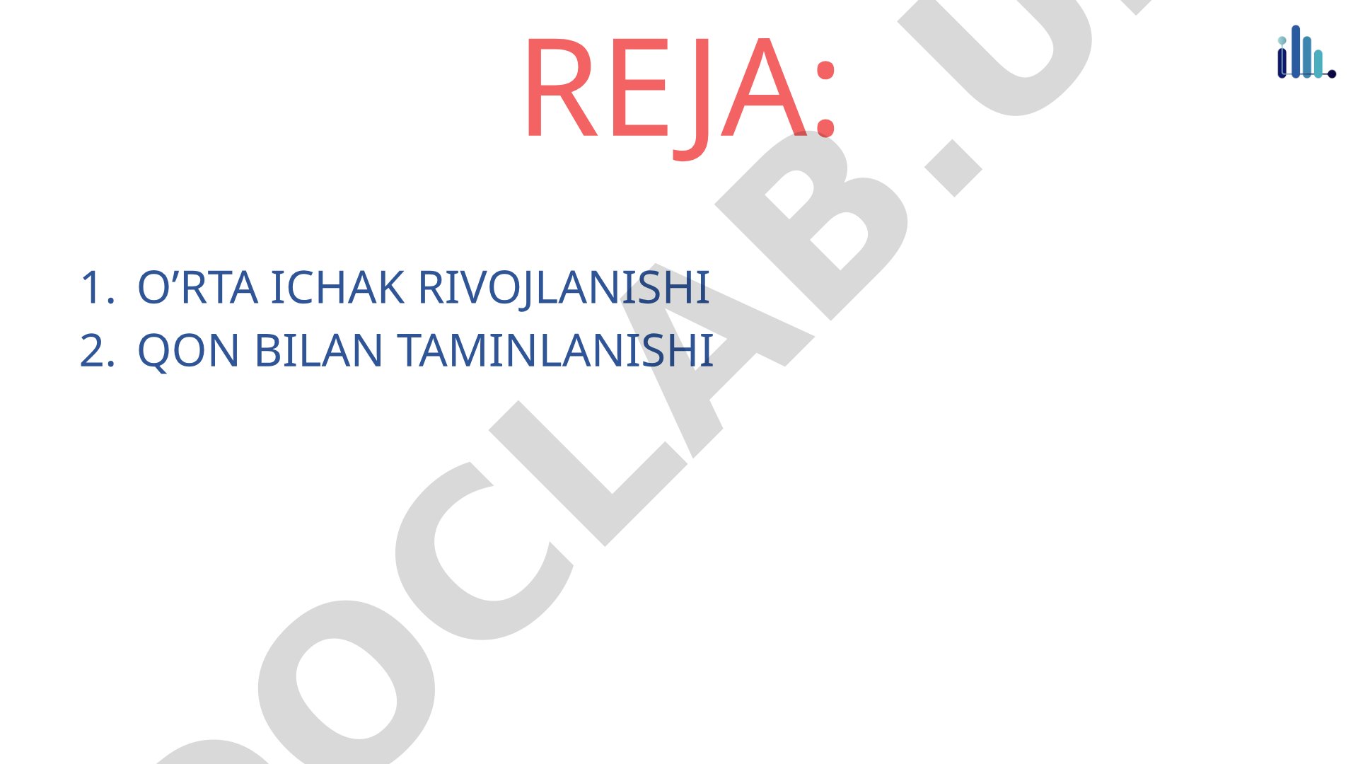O'rta ichak rivojlanishi va qon bilan ta'minlanishi
