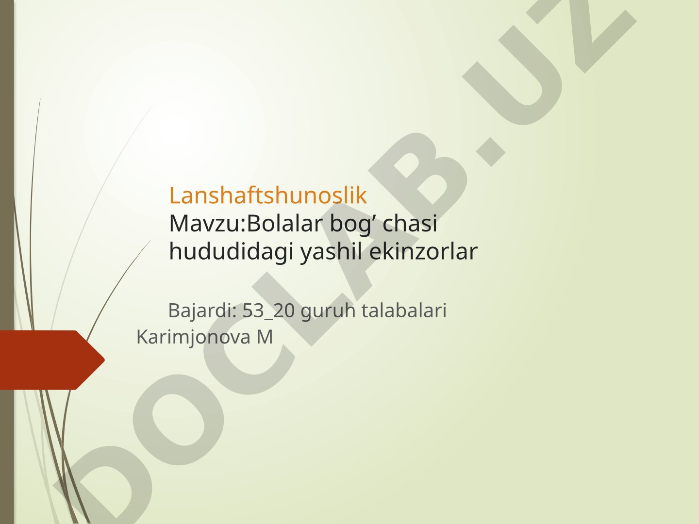 Bolalar bog'chasi hududidagi yashil ekinzorlar