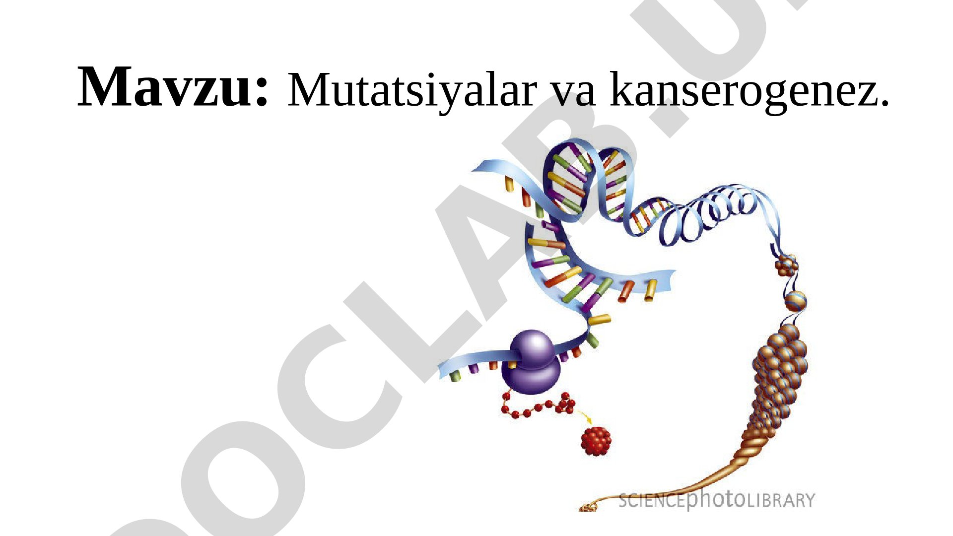 Mutatsiyalar va kanserogenez