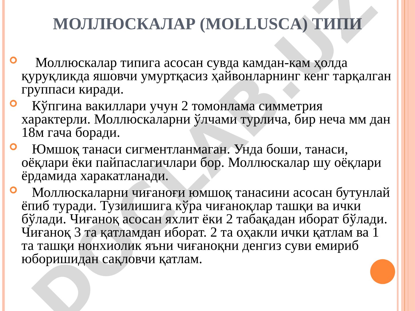 Моллюскалар (Mollusca) типи