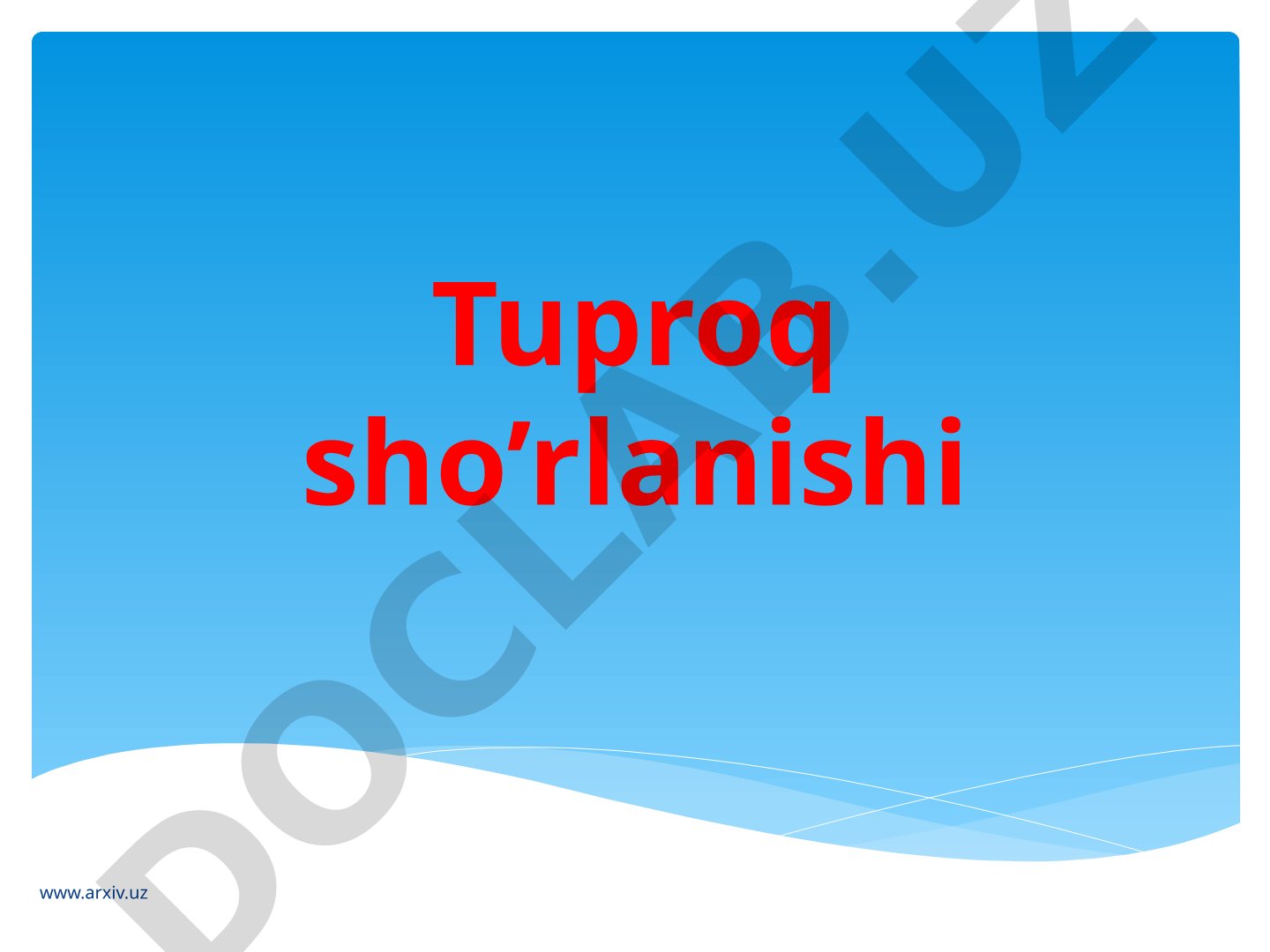 Tuproq sho'rlanishi