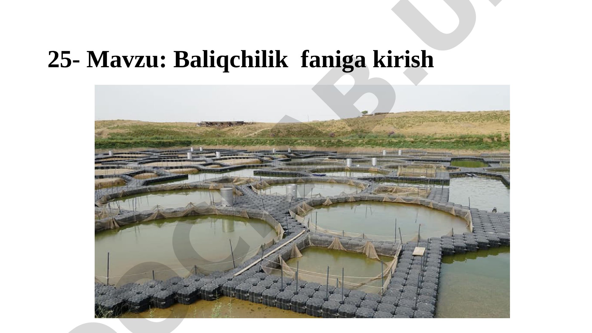 Baliqchilik faniga kirish
