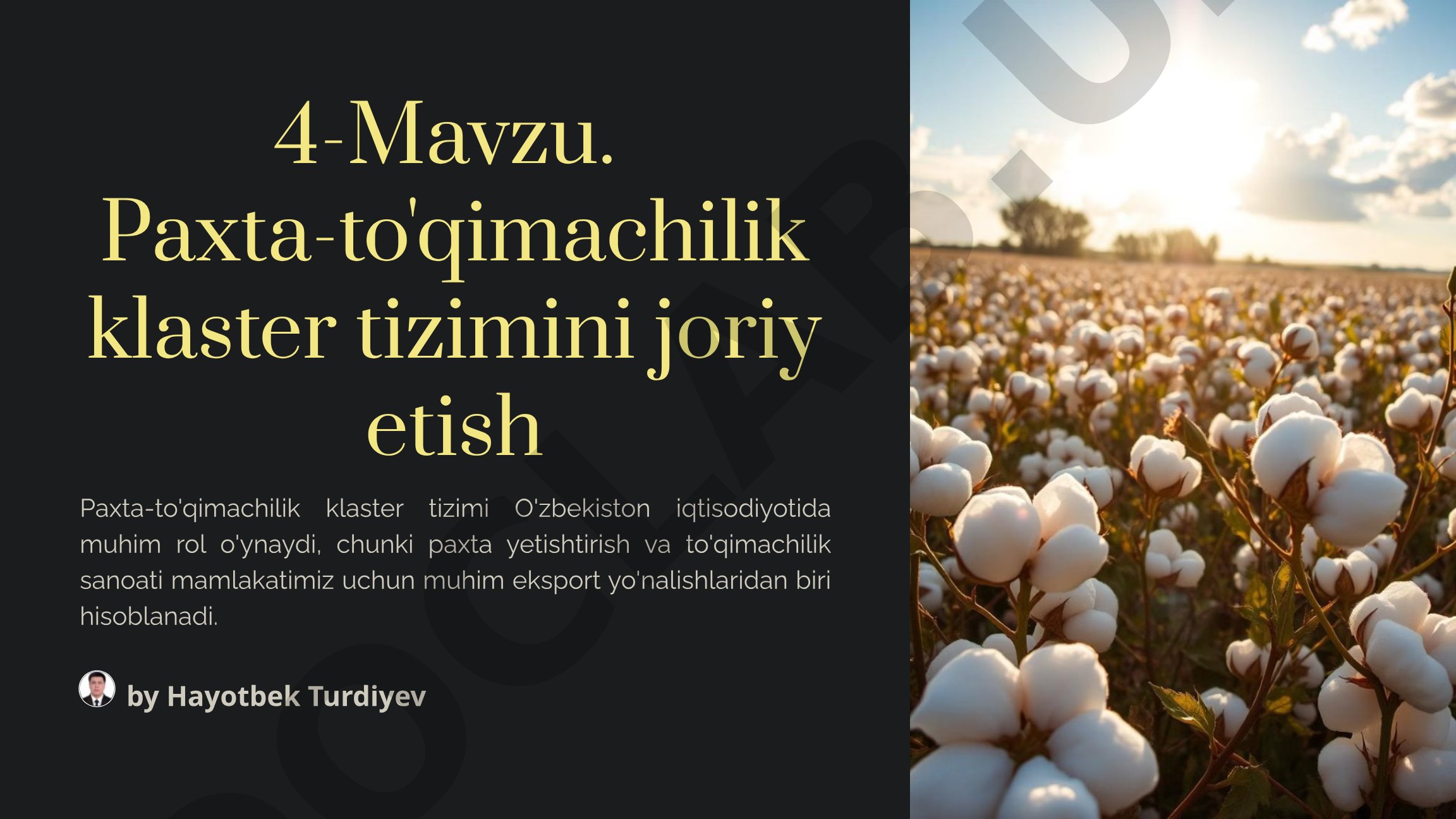 Paxta-to'qimachilik klaster tizimini joriy etish