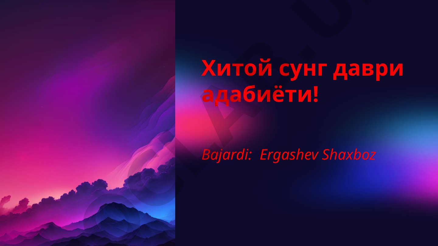 Хитой сунг даври адабиёти