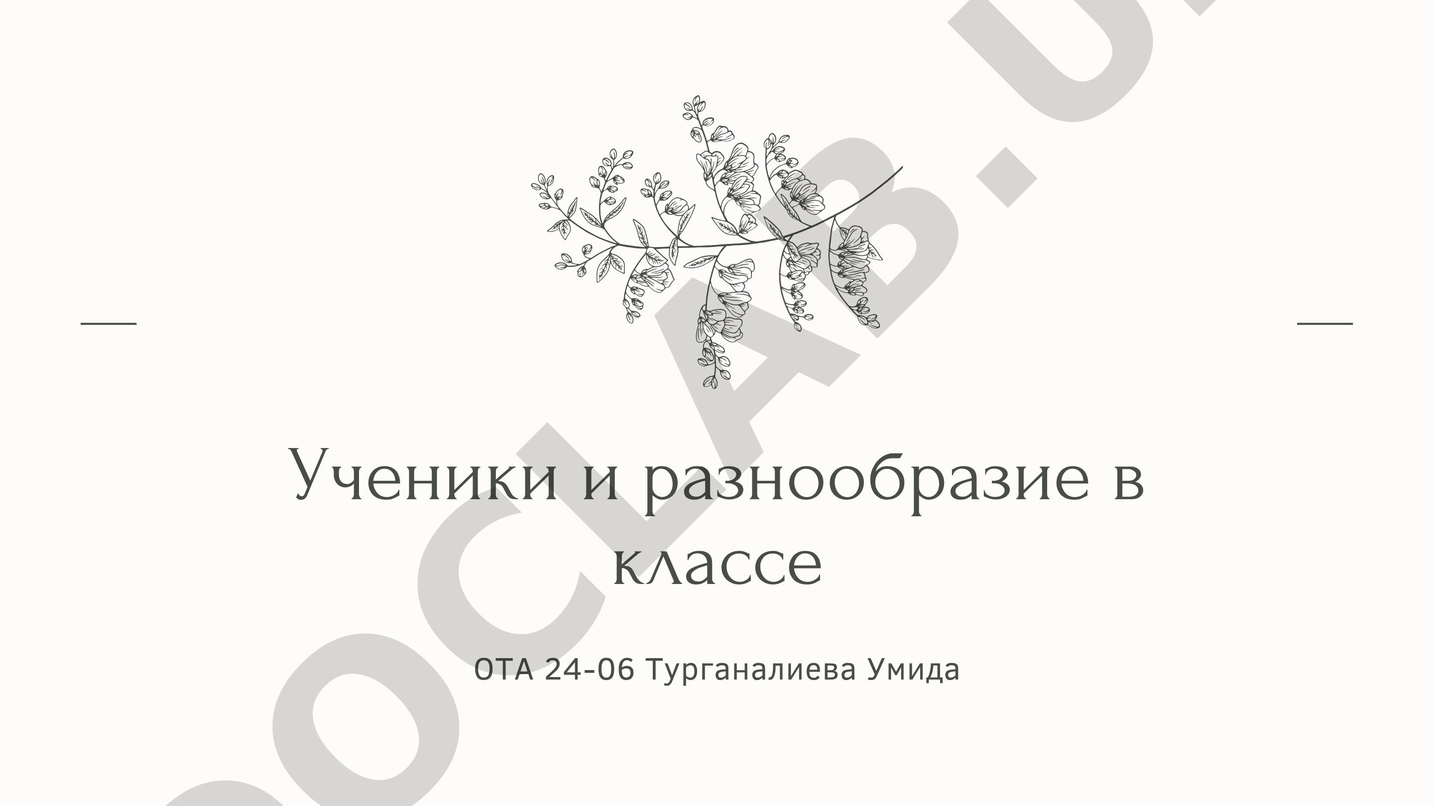 Ученики и разнообразие в классе