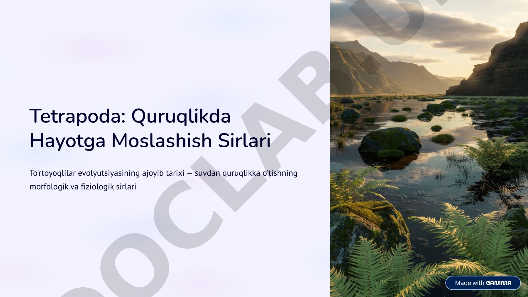 Tetrapoda: Quruqlikda Hayotga Moslashish Sirlari