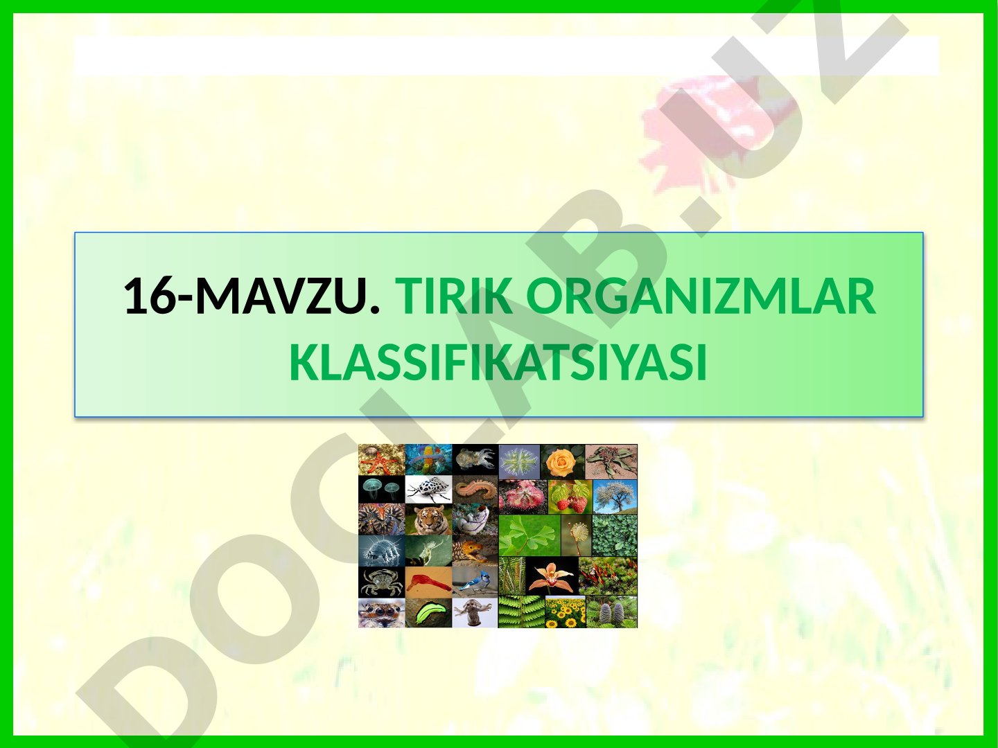 Tirik organizmlar klassifikatsiyasi