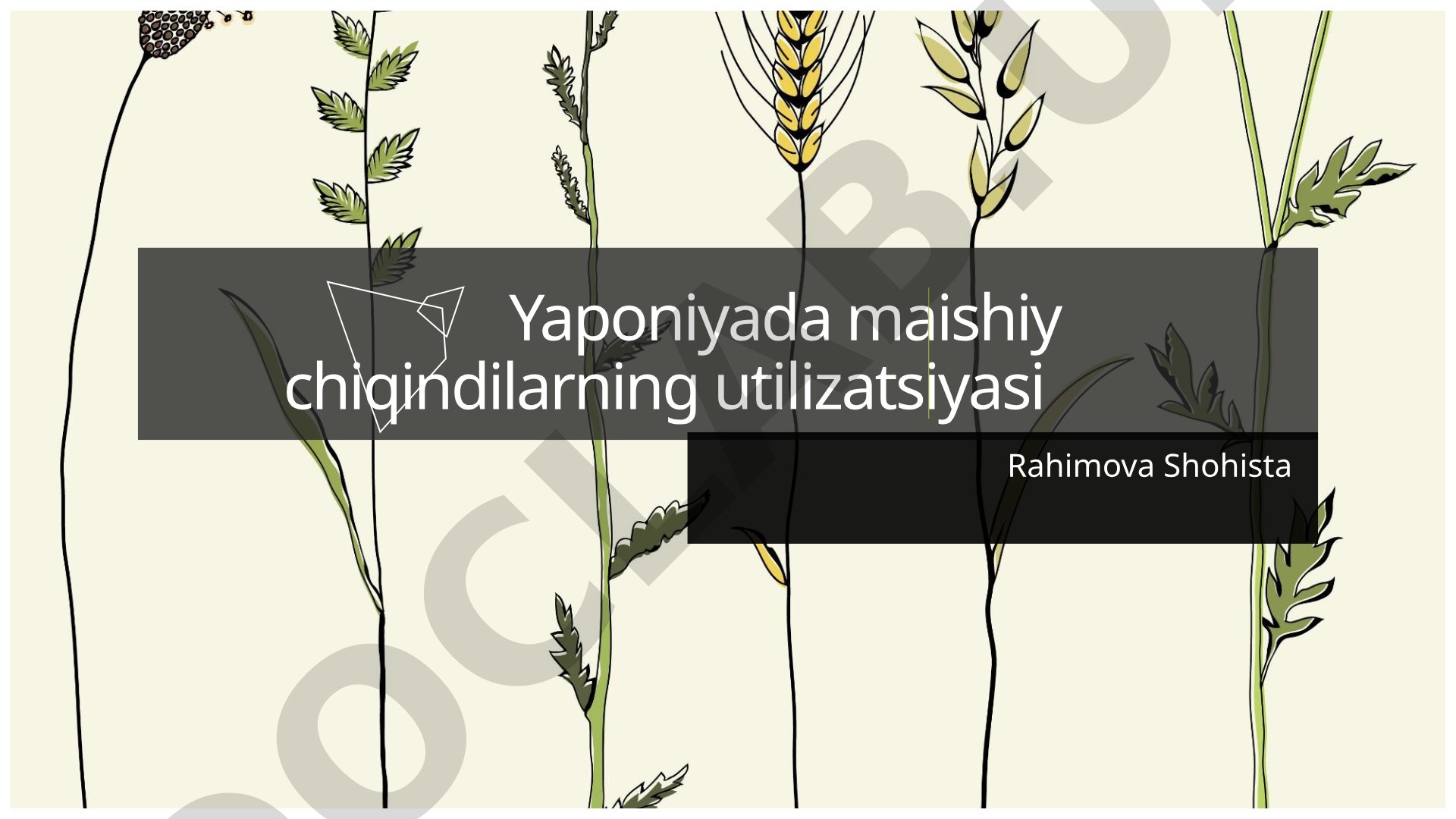 Yaponiyada maishiy chiqindilarning utilizatsiyasi