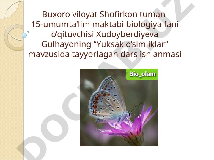 Yuksak o'simliklar