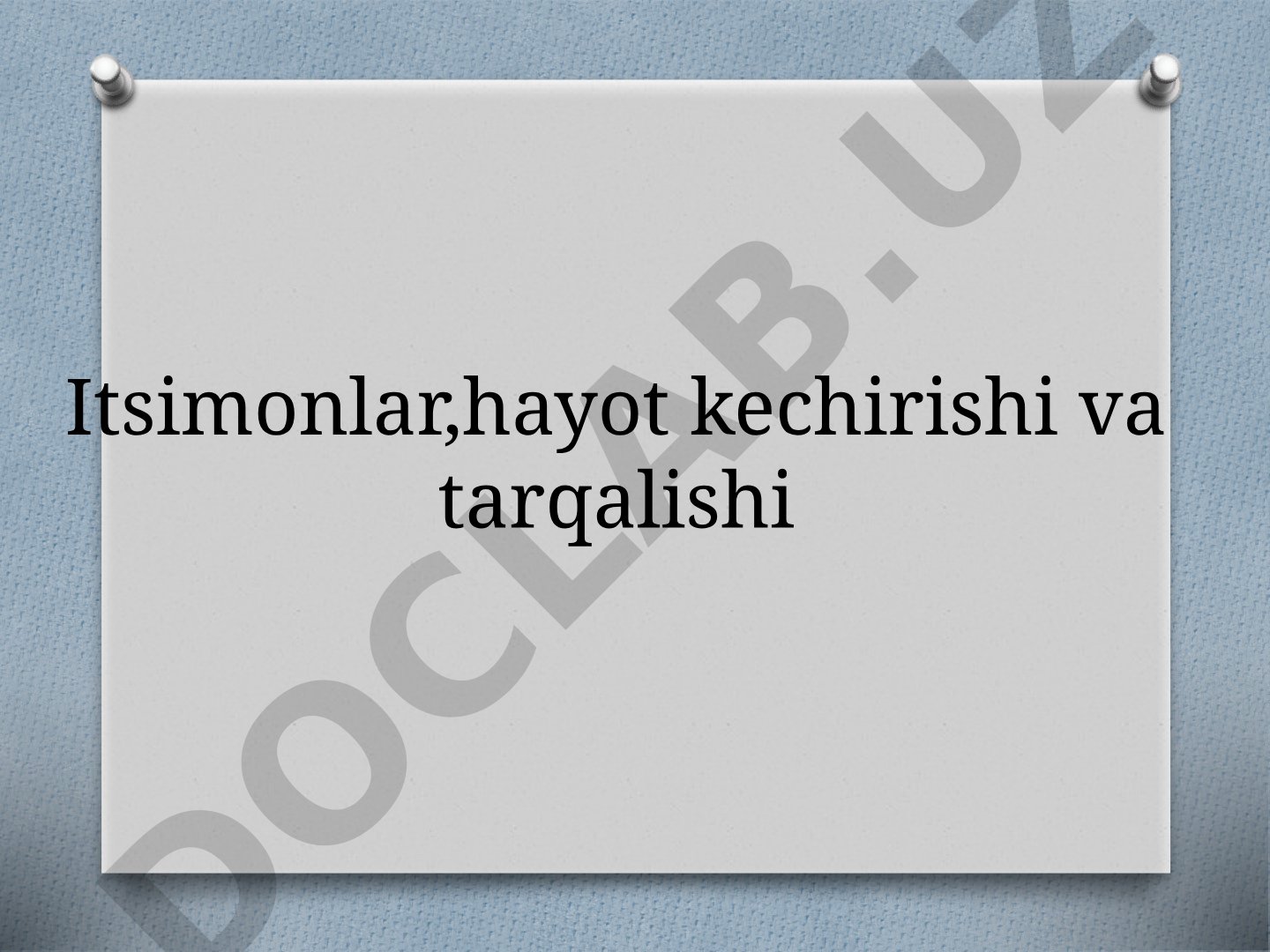 Itsimonlar hayot kechirishi va tarqalishi