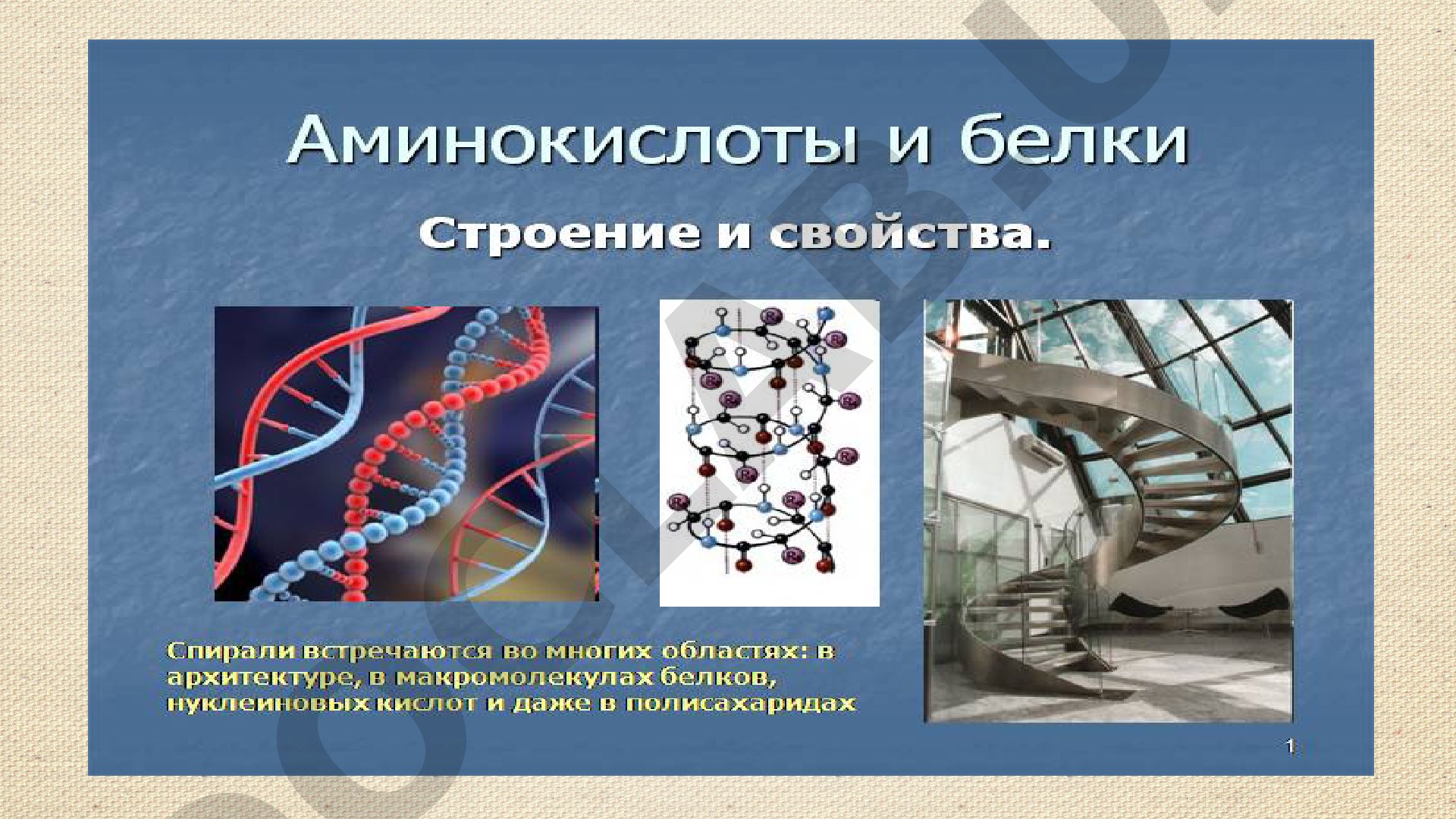 Аминокислоты и белки. Строение и свойства