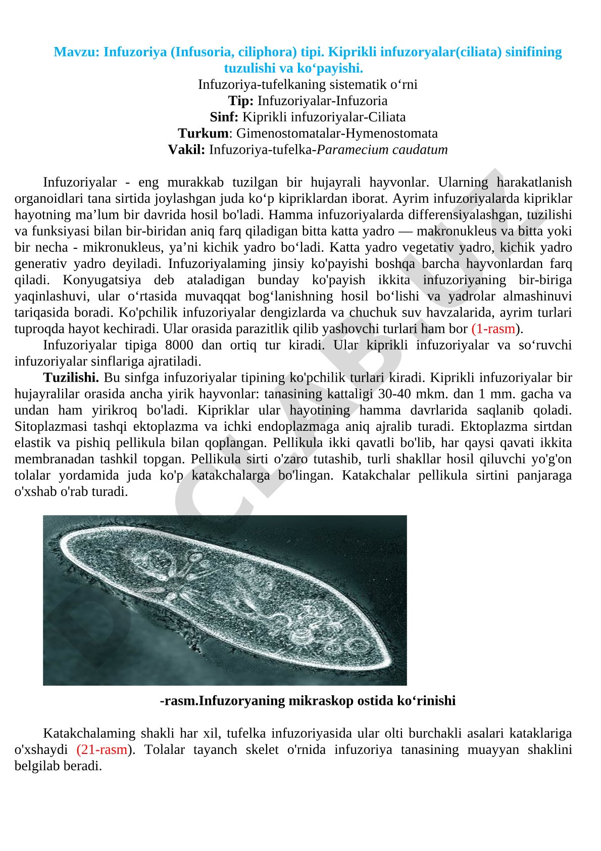 Infuzoriya (Infusoria, ciliphora) tipi. Kiprikli infuzoryalar (ciliata) sinifining tuzulishi va ko‘payishi