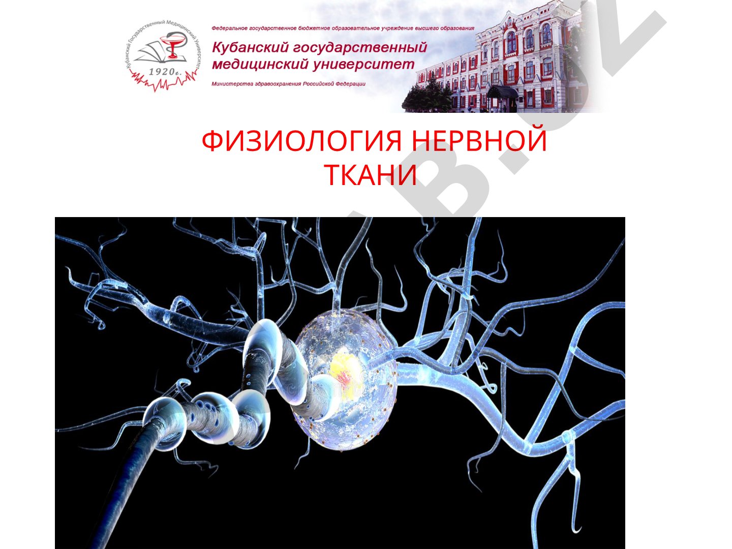 Свойства и классификация нервных центров, физиология нервной ткани