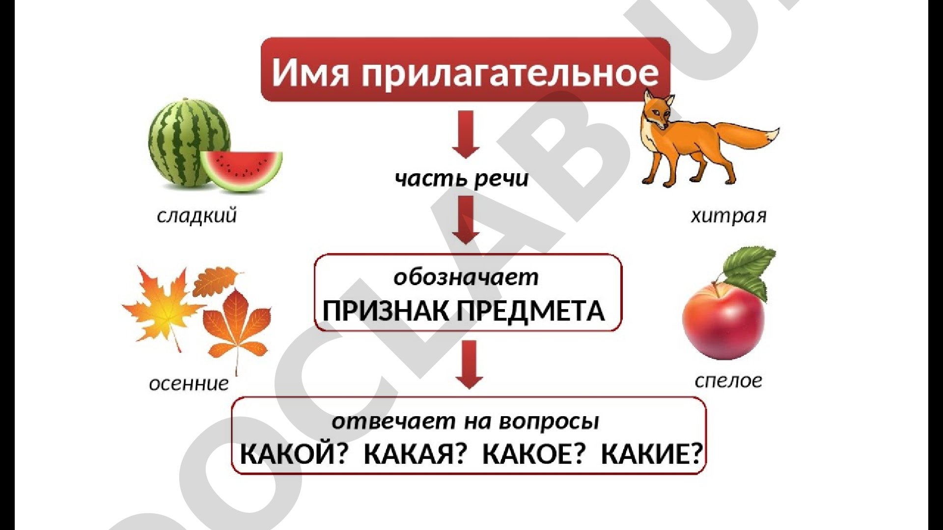 Имя прилагательное как часть речи: определение, вопросы, изменение, упражнения
