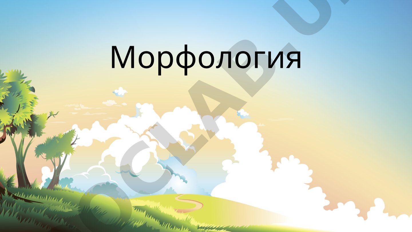 Три склонения имён существительных