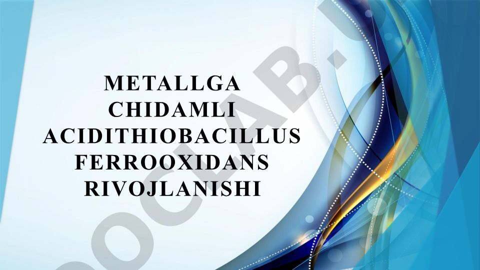 Metallga chidamli Acidithiobacillus ferrooxidans bakteriyasining rivojlanishi
