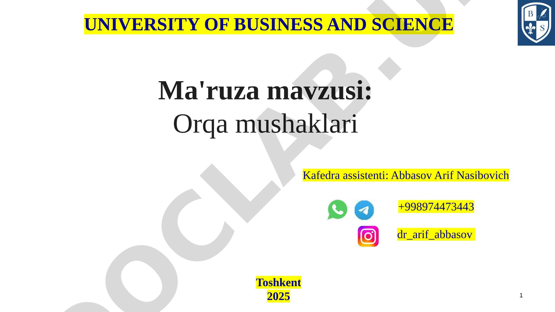 Orqa mushaklarining anatomiyasi, chegaralari va bel hududlari haqida ma'ruza