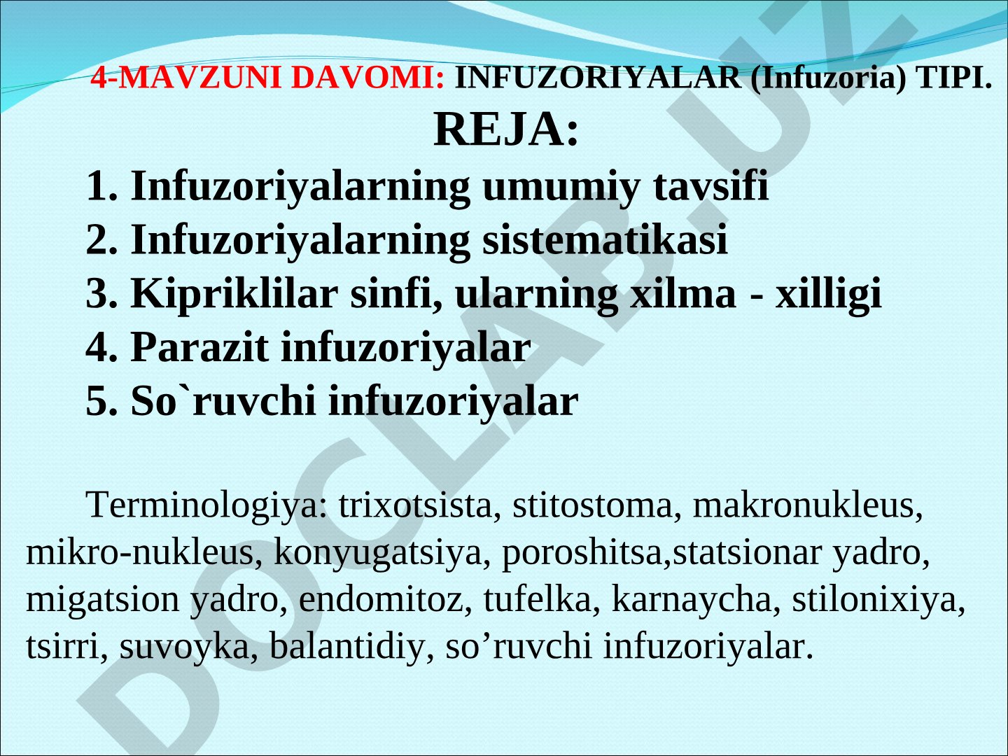 Infuzoriyalar (Infuzoria) tipi: umumiy tavsifi, sistematikasi, sinflari