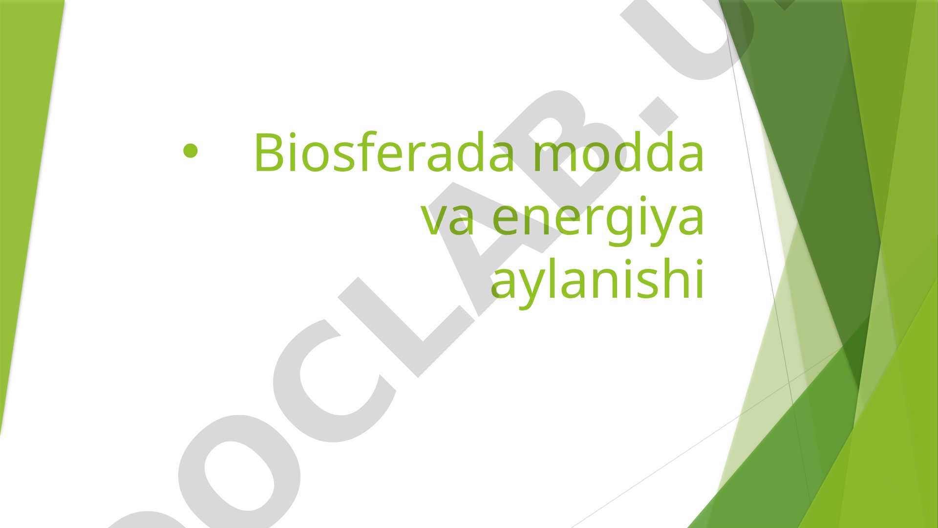 Biosferada modda va energiya aylanishi