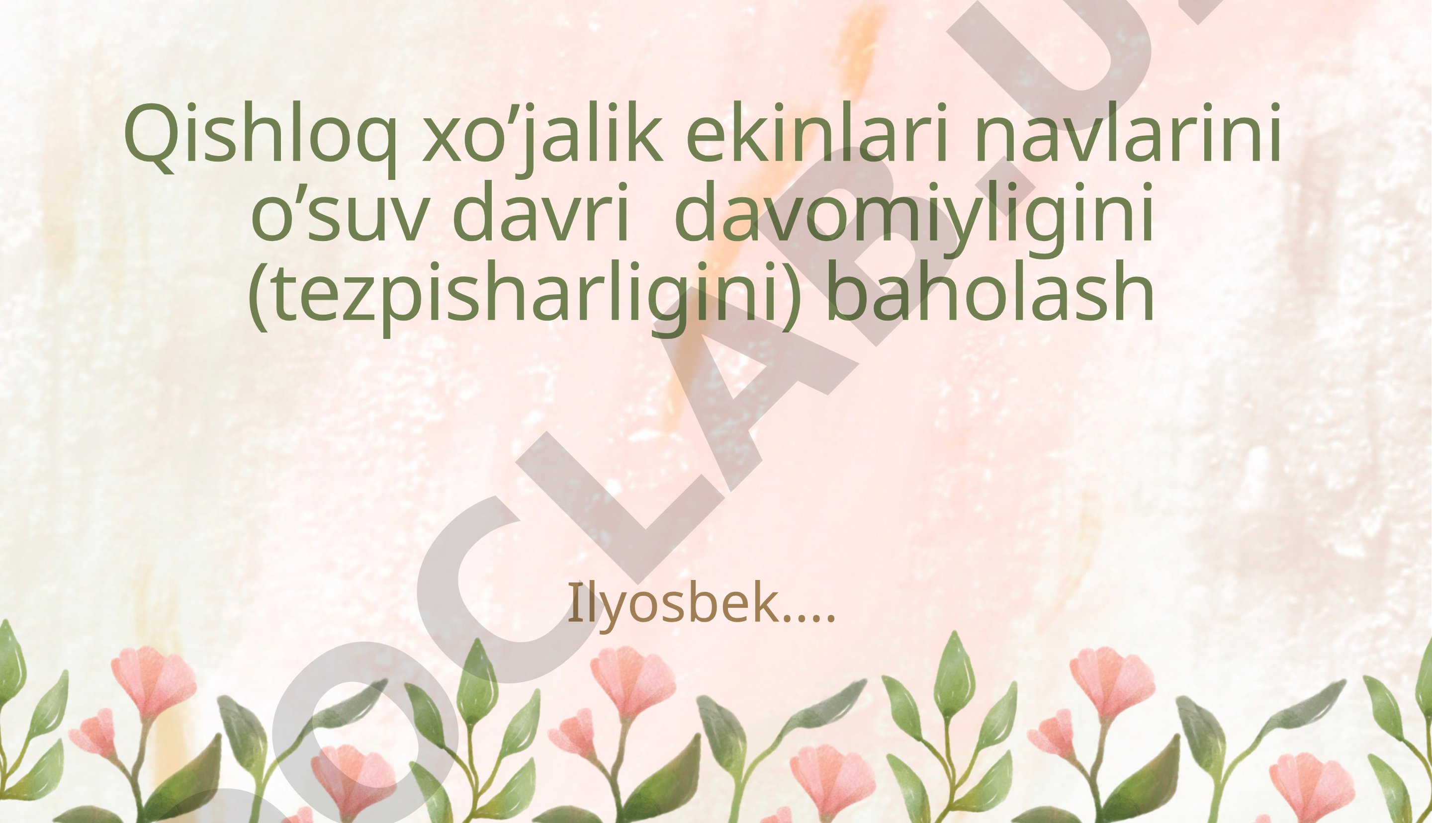 Qishloq xo’jalik ekinlari navlarini o’suv davri davomiyligini (tezpisharligini) baholash