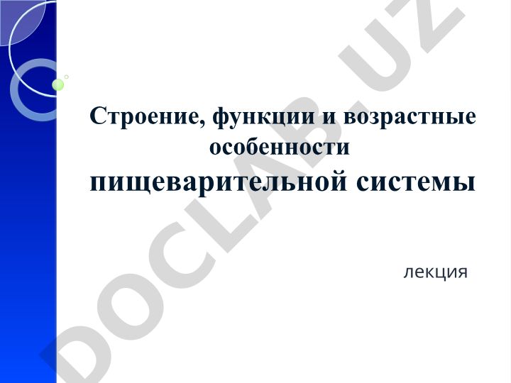Строение, функции и возрастные особенности пищеварительной системы