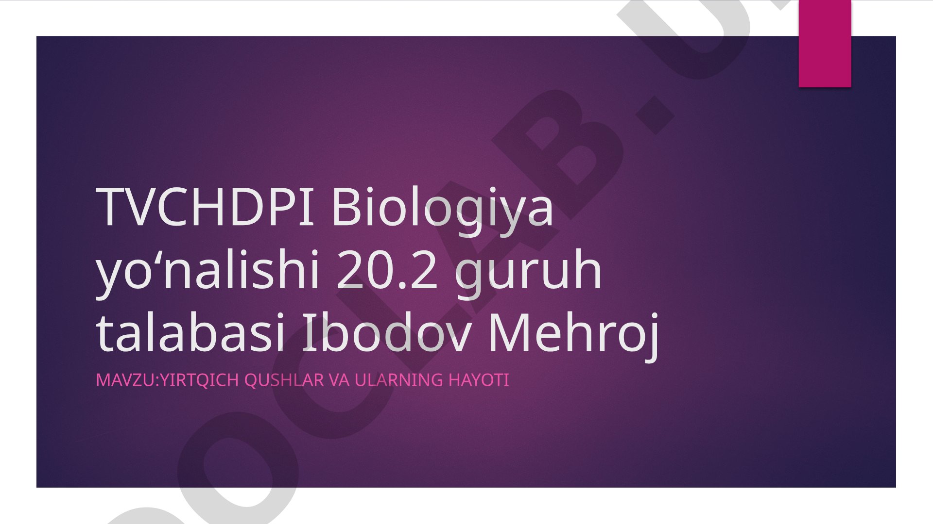 Yirtqich qushlar va ularning hayoti